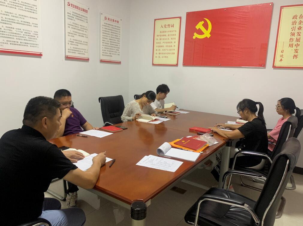 党史学习教育专题组织生活会 党史学习教育专题组织生活会