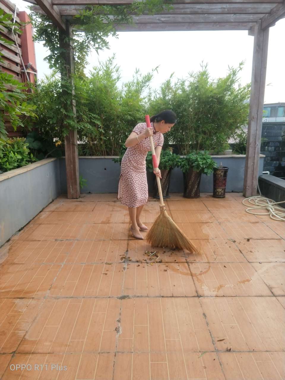 我为群众办实事 ——楼顶花园绿化护理 我为群众办实事 ——楼顶花园绿化护理