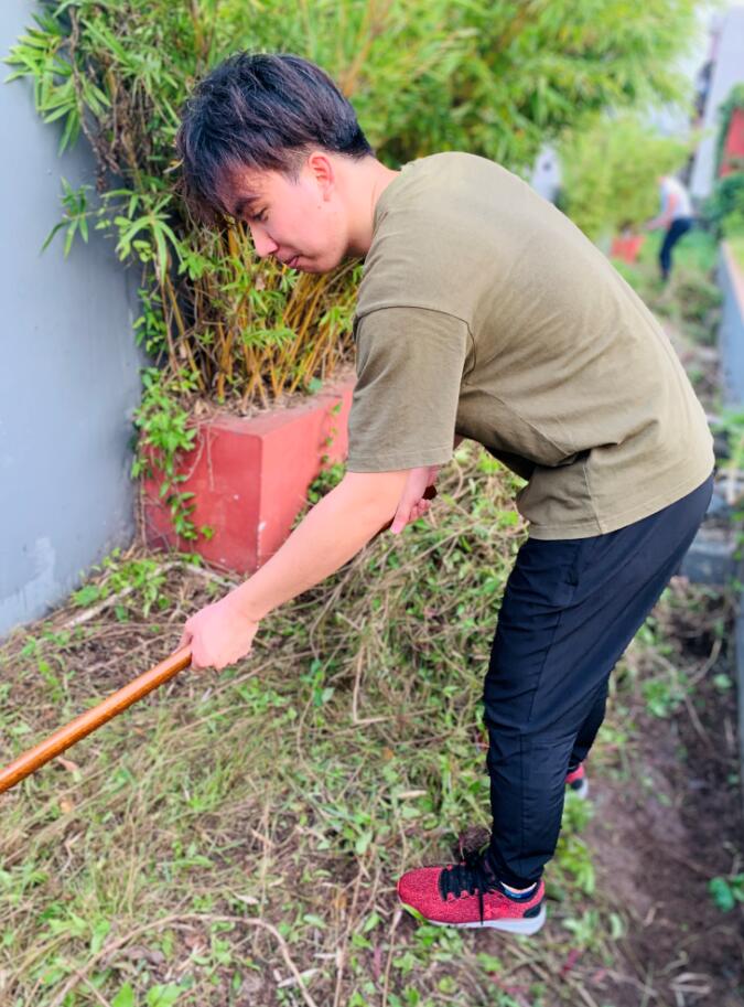 我为群众办实事 ——楼顶花园绿化护理